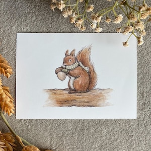 Red Squirrel