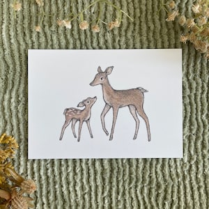 Deer With Baby