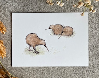 Kiwi Birds