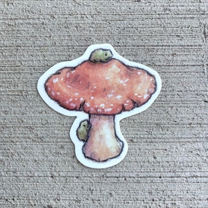Frogs on Mushroom Sticker
