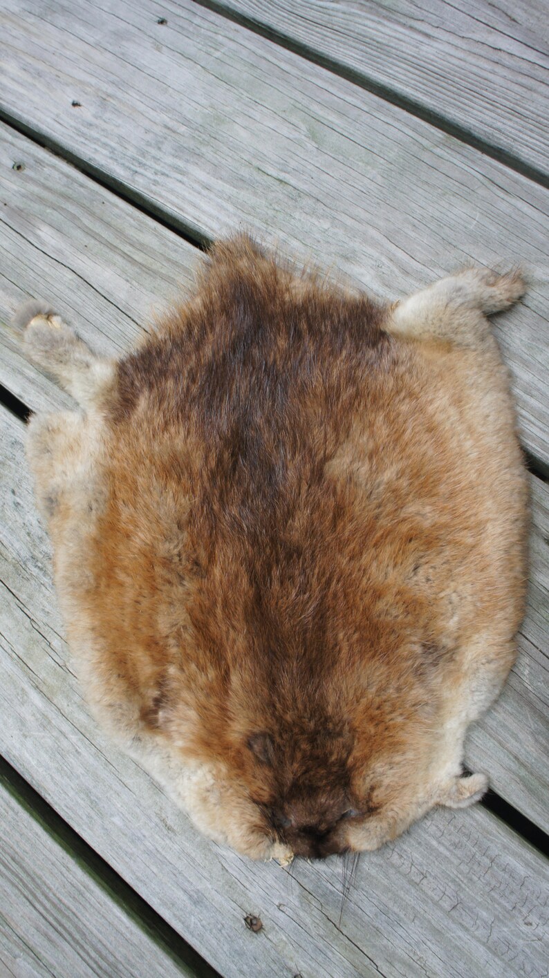 REAL MUSKRAT Muskrat Fur Muskrat Pelt Tanned Pelt Hide Etsy