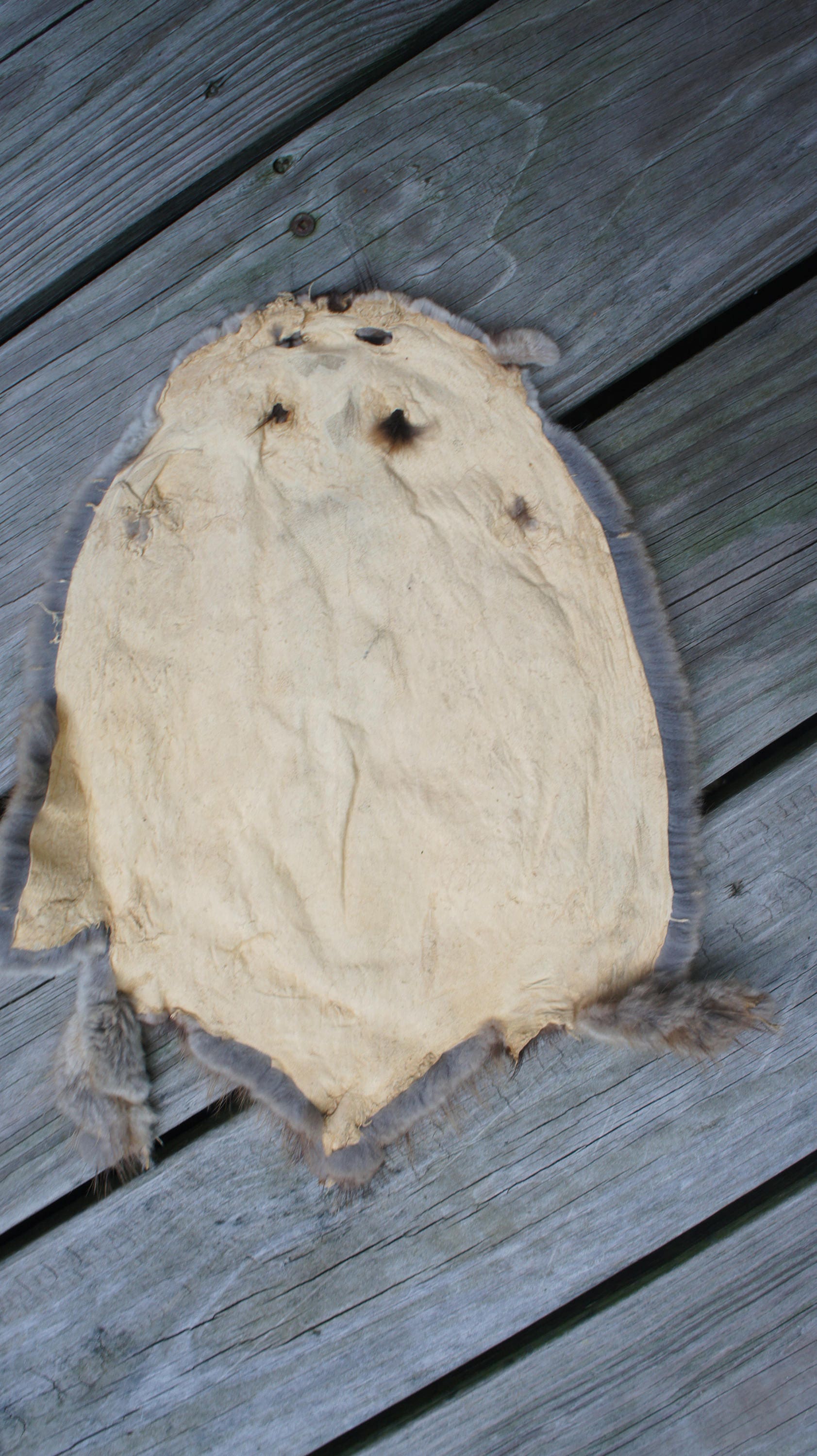 REAL MUSKRAT Muskrat Fur Muskrat Pelt Tanned Pelt Hide Etsy