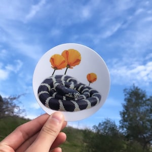 California King Snake Sticker