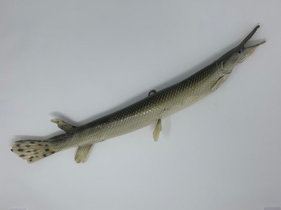 alligator gar stuffed animal