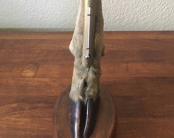 1929 Stag Hoof thermometer