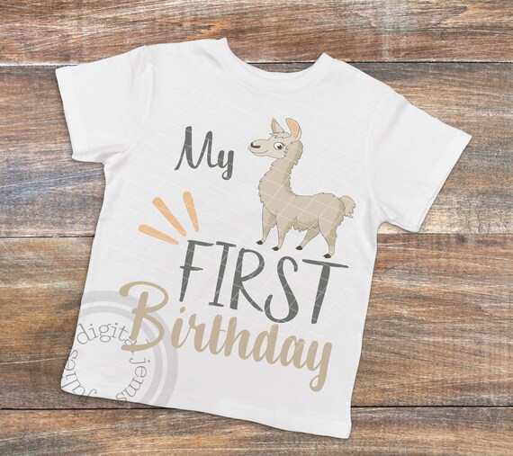 Download Llama Svg Llama Birthday Party Llama Shirt Girl Svg 1st Etsy