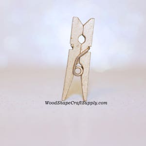 Champagne Gold Clothespins, Embellishments, Mini Clothespins, Glitter  Clothespins, Party Supplies, Wood Clips, Small Clothespins, Wood Pegs 