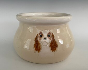 spaniel bowl
