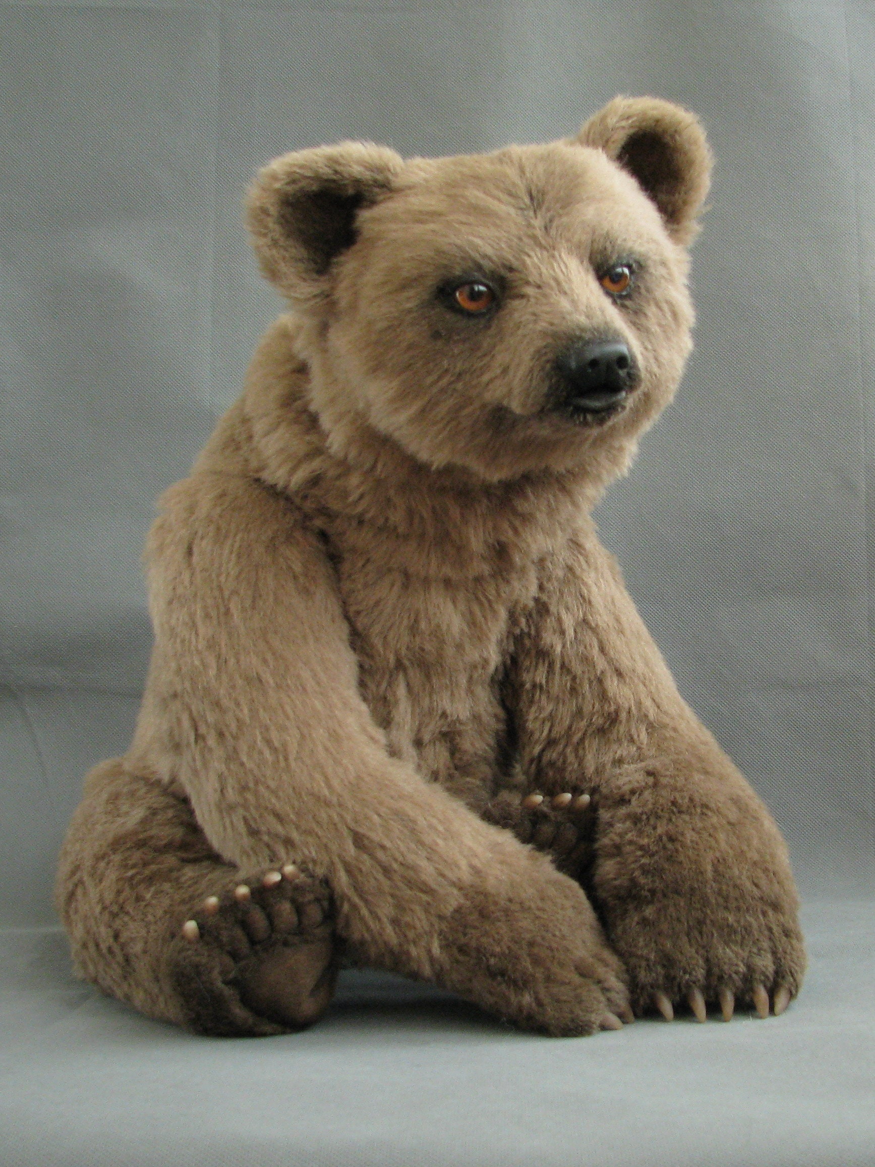 Realistic bear teddy bear OOAK BERNKHARD 57 cm alpaca Etsy