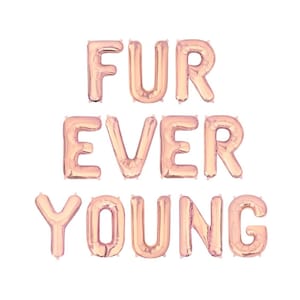 Fur Ever Young Dog Birthday Party Puppy Birthday Party Decorations Puppy Party Balloons Dog Party Balloons Dog Birthday Decor Dogs Birthday