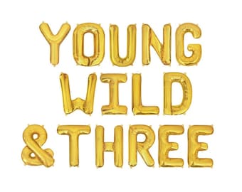 Wild Three Balloons 3rd Birthday Decor 3rd Birthday Young Wild Balloons Birthday Letter Balloons 3rd Bday Banner Third Birthday Decorations