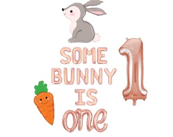 Some Bunny is One Balloon Banner Easter First Birthday Some Bunny Balloons Bunny Theme Bunny Is One Decor Rose Gold Some Bunny Is One Theme