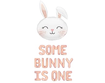 Some Bunny is One Balloon Banner Easter First Birthday Some Bunny Balloons Bunny Theme Bunny Is One Decor Rose Gold Some Bunny Is One Theme