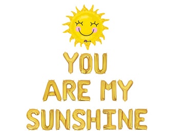 You Are My Sunshine Balloon Banner Baby Birthday Party Sunny 1st Birthday Decor Birthday Party Balloon Banner Sunshine Birthday Balloons