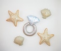 Seashell Balloons Shell Bridal Shower Decor Under the Sea Bachelorette Party Decorations Ocean Supplies Coastal Sea Starfish Clam Cream Ring