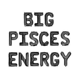Big Pisces Energy Balloon Banner Birthday Party Decorations 18th 21st 30th 40th Party Decorations Zodiac February March Birthday Party Decor