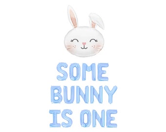 Some Bunny is One Balloon Banner Easter First Birthday Some Bunny Balloons Bunny Theme Bunny Is One Decor Baby Blue Some Bunny Is One Theme