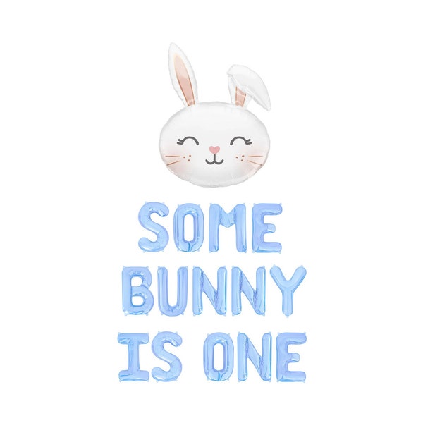 Some Bunny is One Balloon Banner Easter First Birthday Some Bunny Balloons Bunny Theme Bunny Is One Decor Baby Blue Some Bunny Is One Theme