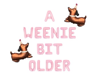 A Weenie Bit Older Letter Balloon Kit Weenie Dog Birthday Party Decorations Wiener Dog Balloons Dachshund Dog Pink Puppy Party Decor For Her