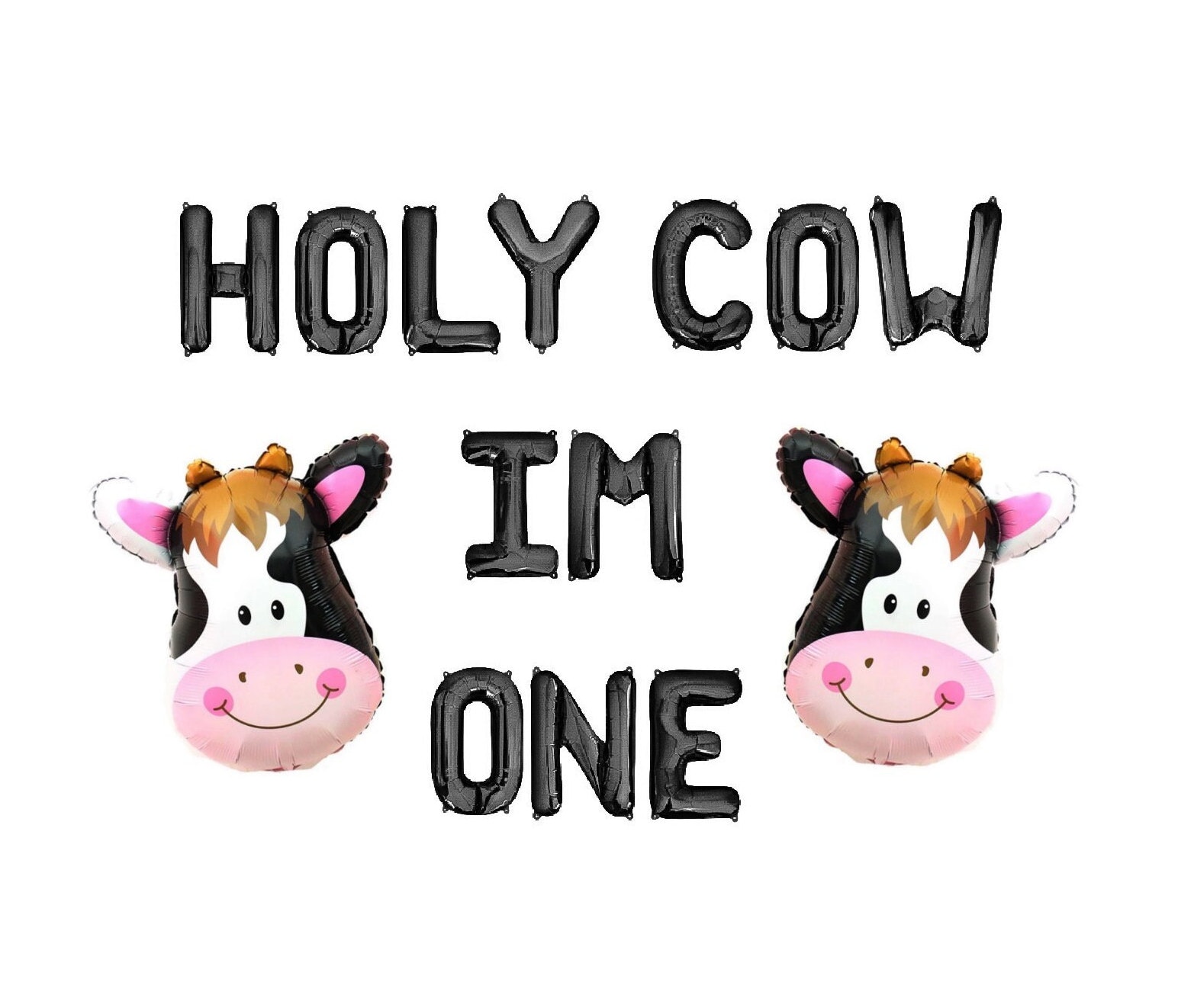 Holy Cow Im One Balloon Banner Cow 1st Birthday Party Decorations Farm Farmer Themed Birthday Party First Birthday One Letter
