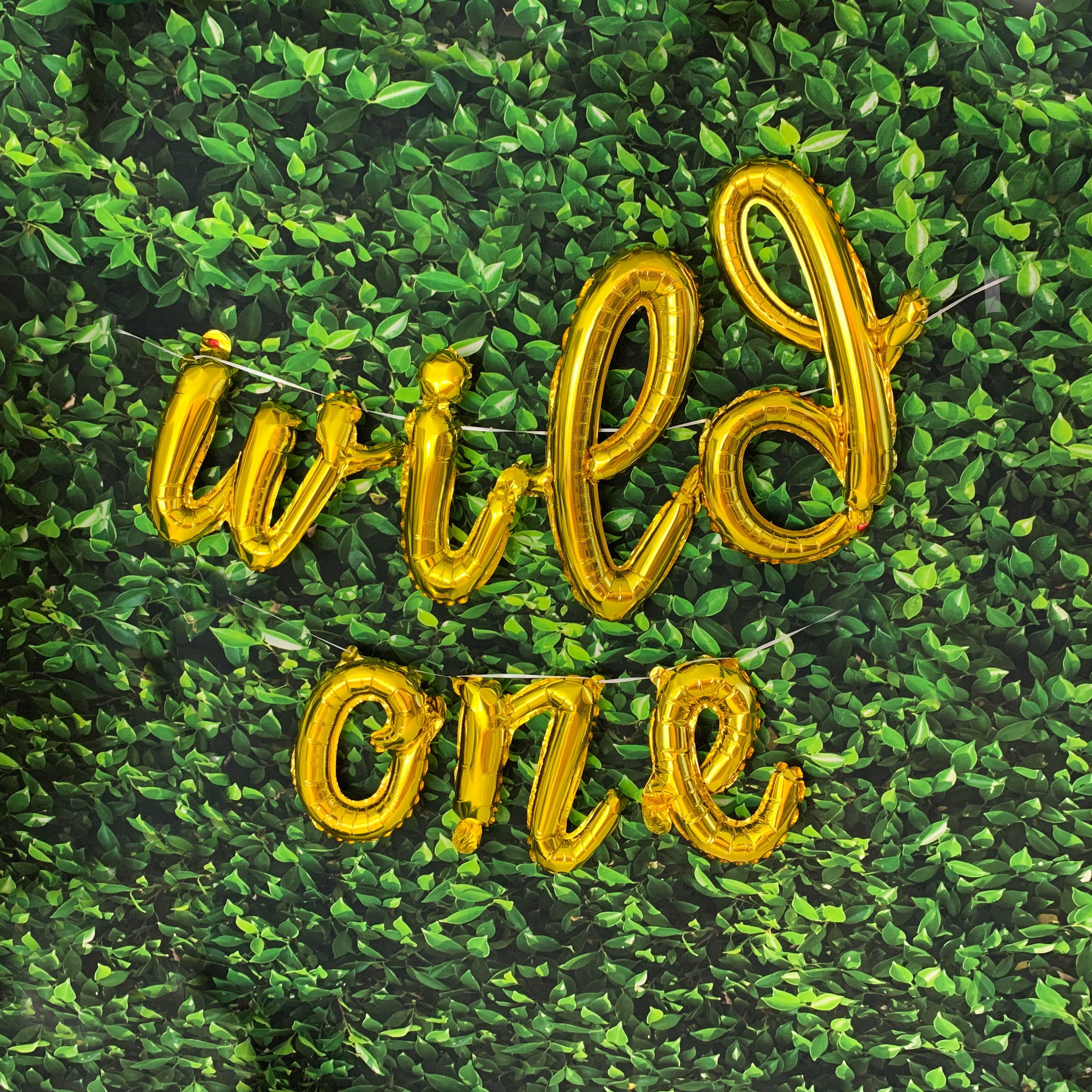 Wild One Balloons Jungle Themed First Birthday Safari Themed First Birthday Wild One Balloon Letters Wild One Balloon Banner
