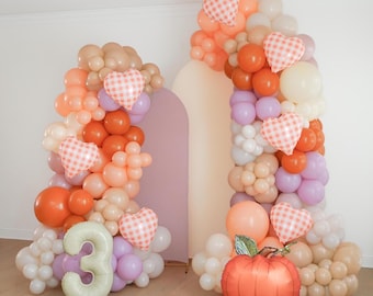 One Little Pumpkin 1st 2nd 3rd 4th 5th 6th Birthday Party Decorations Pumpkin Baby Shower Decor Fall Balloon Arch Gingham Balloon Garland