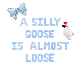 A Silly Goose Is Almost Loose Letter Balloon Kit Silly Goose Baby Shower Decorations One Silly Goose Gender Reveal For Boys Mother Goose