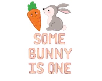 Some Bunny is One Balloon Banner Easter First Birthday Some Bunny Balloons Bunny Theme Bunny Is One Decor Rose Gold Some Bunny Is One Theme