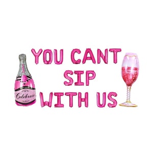 You Cant Sip With Us, Girls Party Decor 2000s Party Decorations Party Banner Girls Pink Balloons Pink Themed Bachelorette Birthday Party