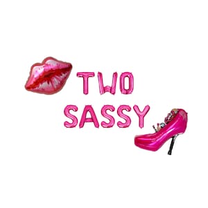 Two Sassy Letter Balloon Kit 2nd Birthday Party Balloon Banner Second Birthday Party Decor For Girls Two Sweet Two Sassy Kids Party Supplies