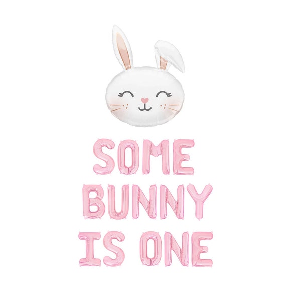 Some Bunny is One Balloon Banner Easter First Birthday Some Bunny Balloons Bunny Theme Bunny Is One Decor Baby Pink Some Bunny Is One Theme