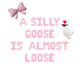 A Silly Goose Is Almost Loose Letter Balloon Kit Silly Goose Baby Shower Decorations One Silly Goose Gender Reveal For Girls Mother Goose