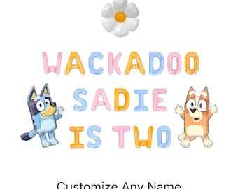 Wackadoo They're Two Custom Name Letter Balloon Kit 2nd Birthday Party Decorations Bluey Balloons Bingo Balloons Second Birthday Party Decor