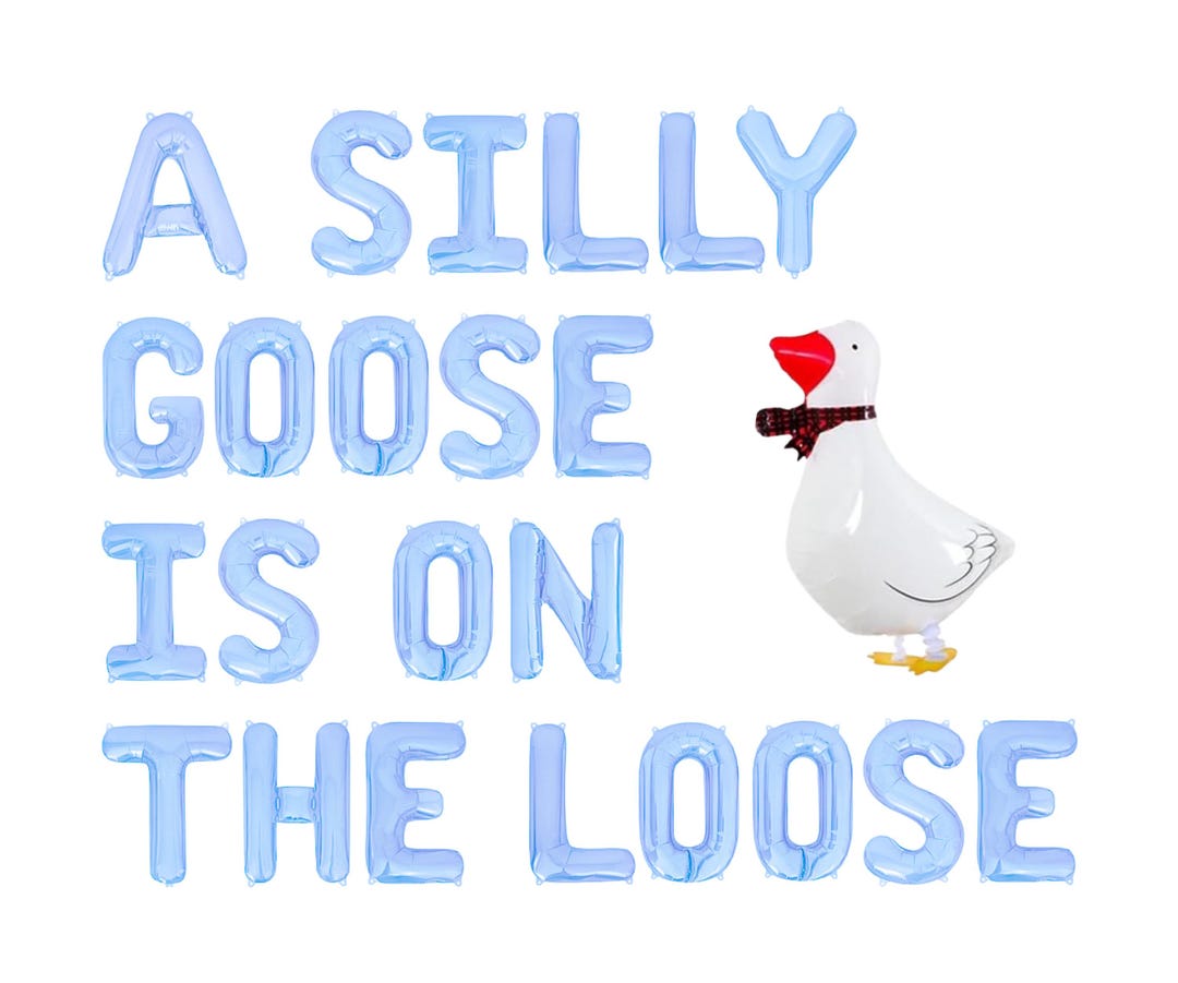 A Silly Goose is on the Loose Letter Balloon Kit Silly Goose Birthday ...