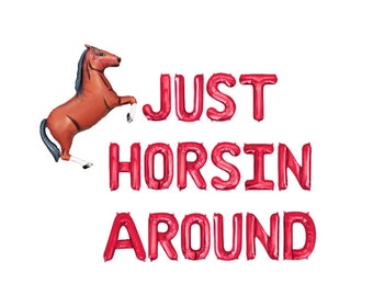 Just Horsin Around Letter Balloon Kit Kids Birthday Party Balloon Banner Birthday Party Decor Horse Birthday Party Horse Balloons Girls Boys
