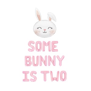 Some Bunny is Two Balloon Banner Easter Second Birthday Bunny Balloons Bunny Theme Decor 2nd Birthday Party Supplies Birthday Decorations