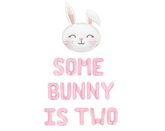 Some Bunny is Two Balloon Banner Easter Second Birthday Bunny Balloons Bunny Theme Decor 2nd Birthday Party Supplies Birthday Decorations