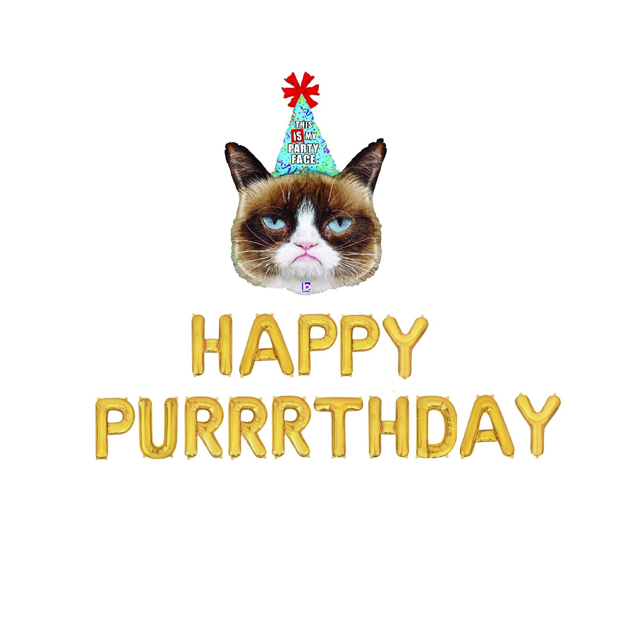 Funny Birthday Cat Gif 11 - sdraubv