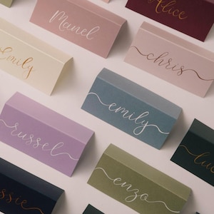 Noms de lieux manuscrits en couleur | Marque-places pour mariage bordeaux, vert sauge, ivoire | Calligraphie à l'encre dorée | Plan de salle | Mariage