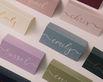 Segnaposto colorati scritti a mano / Segnaposto per matrimonio color bordeaux, verde salvia, avorio / Calligrafia con inchiostro dorato / Disposizione dei posti a sedere / Matrimonio