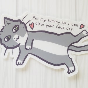 Silly Kitty Cat Sticker  |  |  Laptop, Tumbler, Bumper Sticker  |   Funny, Cute, Meme |  Gray Tuxedo Cat