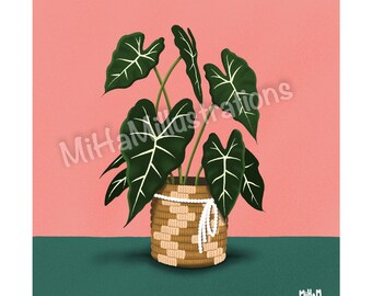 Illustration imprimée - Plantes - Alocasia Micholitziana - Affiche - Poster