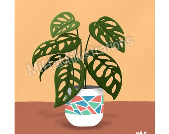 Illustration imprimée - Plantes - Monstera adansonii - Affiche - Poster