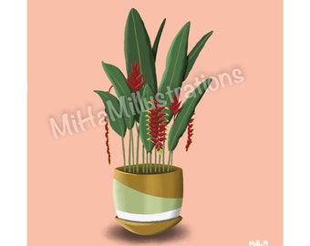 Illustration imprimée - Plantes - Heliconia - Affiche - Poster