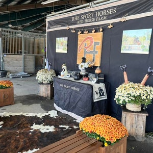 May include: A Halloween-themed display with a black and white sign that reads "RHF Sport Horses Red Horse Farm" and a wooden sign with the letters "RH" in a red and black design. There are white and yellow mums in pots, a black table with a black tablecloth, and a brown and white cowhide rug.