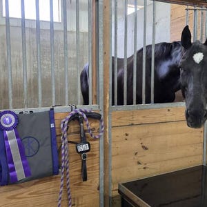 Sling, Free Name Embroidery, Horse Leg Wrap Sling, Horse Bandage Holder, Leg Wrap Holder, Sling, Horse Show, Equestrian, Horse