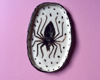 Coupelle araignée en céramique