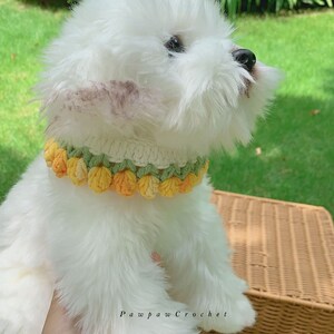 May include: A white dog wearing a crocheted collar with yellow and green flowers. The collar is handmade and has a delicate design. Pawpaw Crochet is written on the bottom of the image.