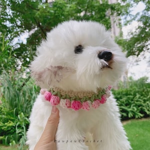 May include: A white dog wearing a crocheted flower collar with pink and green flowers. The collar is made of yarn and has a delicate, feminine design. Pawpaw Crochet is written in the bottom right corner of the image.