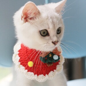 May include: A white cat wearing a red and white crocheted Christmas collar. The collar has a scalloped edge and is decorated with a small Christmas tree, a yellow circle, and a white pom-pom.